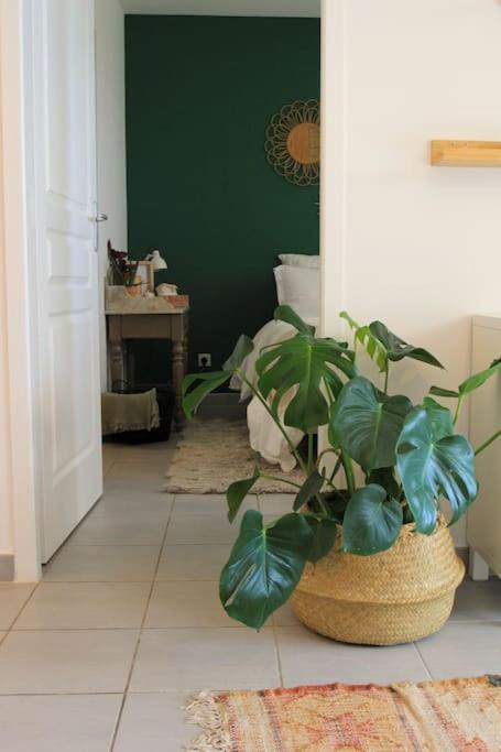 Cosy Appartement Entre Vignes Et Garrigue Avec Piscine Péret Zewnętrze zdjęcie