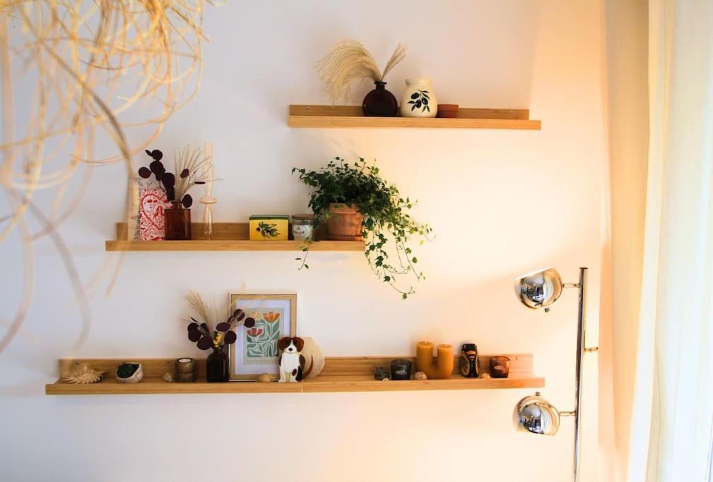 Cosy Appartement Entre Vignes Et Garrigue Avec Piscine Péret Zewnętrze zdjęcie